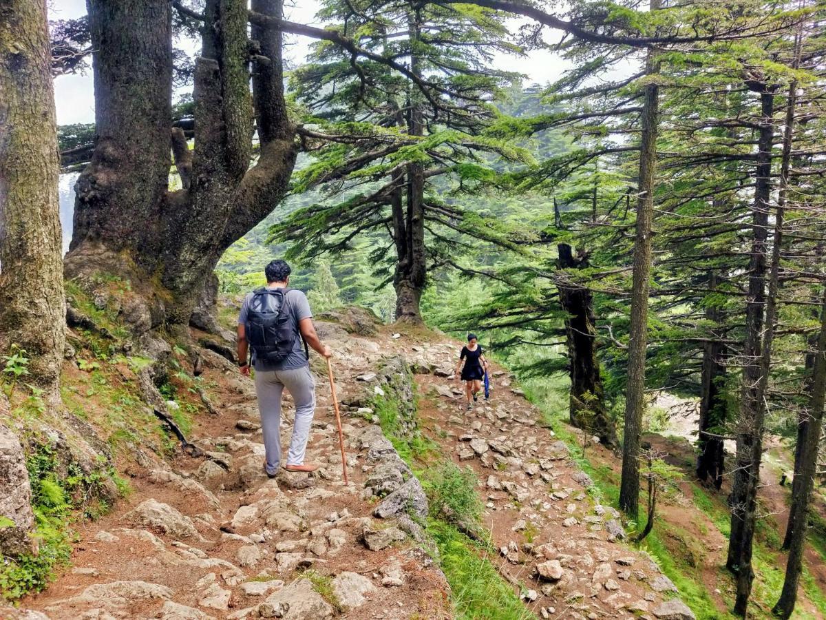 Neha Homestay Shimla Exterior foto