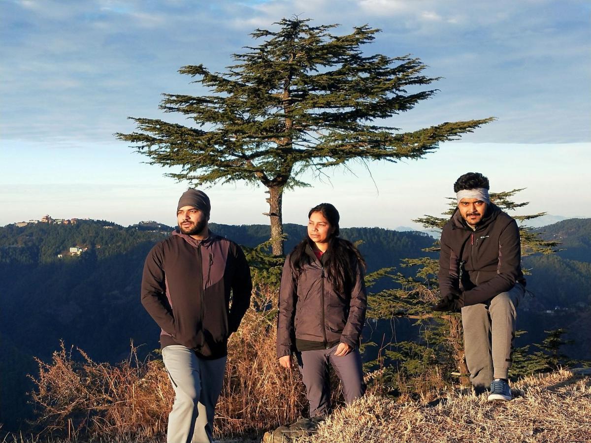 Neha Homestay Shimla Exterior foto
