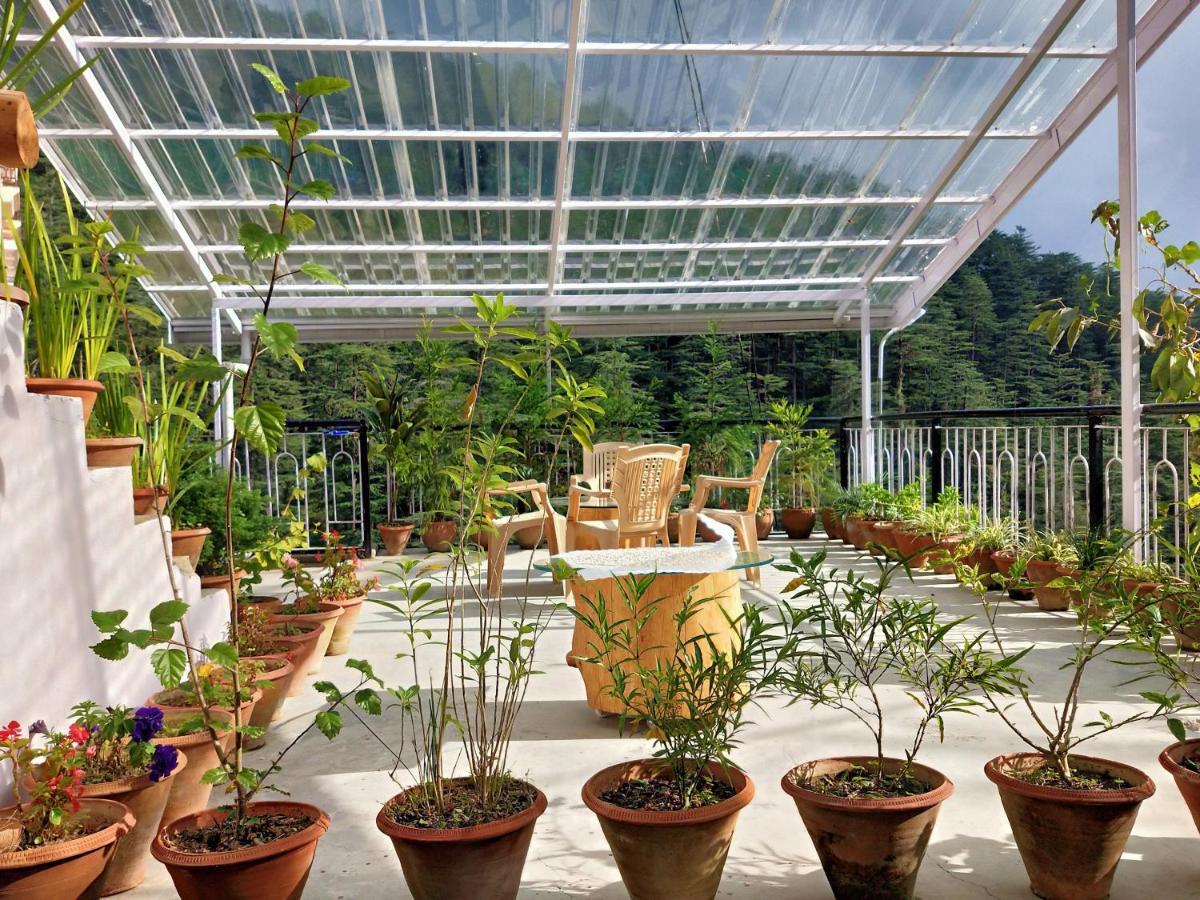 Neha Homestay Shimla Exterior foto