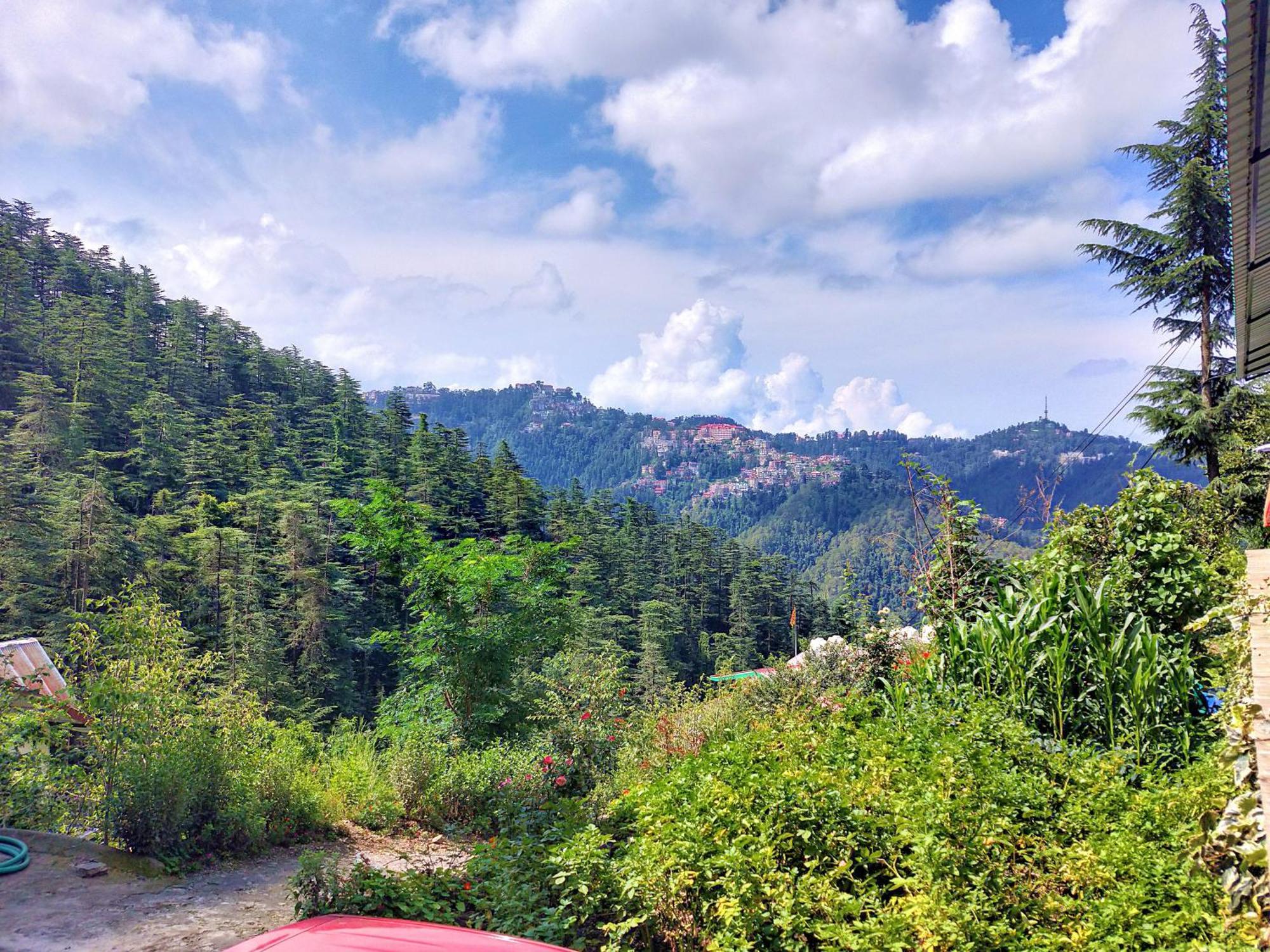 Neha Homestay Shimla Exterior foto
